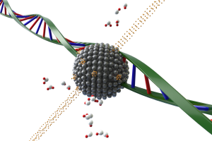 Nanoparticules