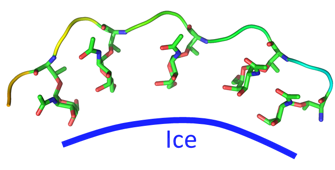 PNG - 31.9 kio